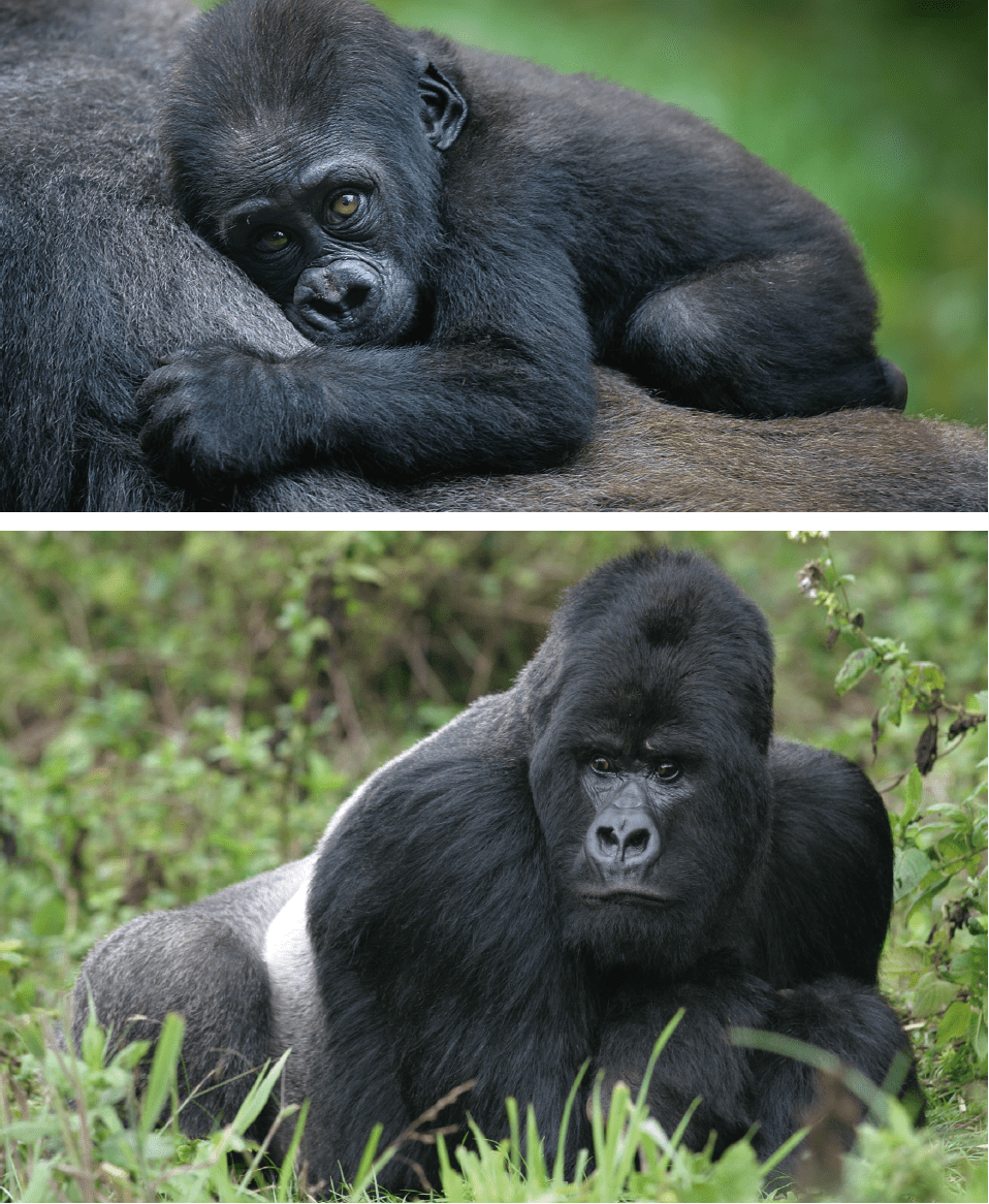 Rwanda2022_10