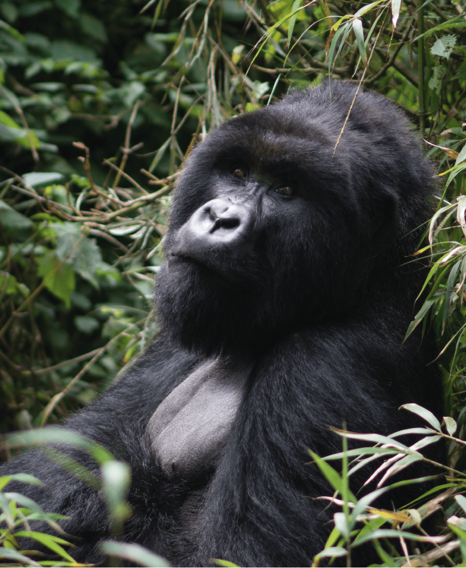 Rwanda2022_2