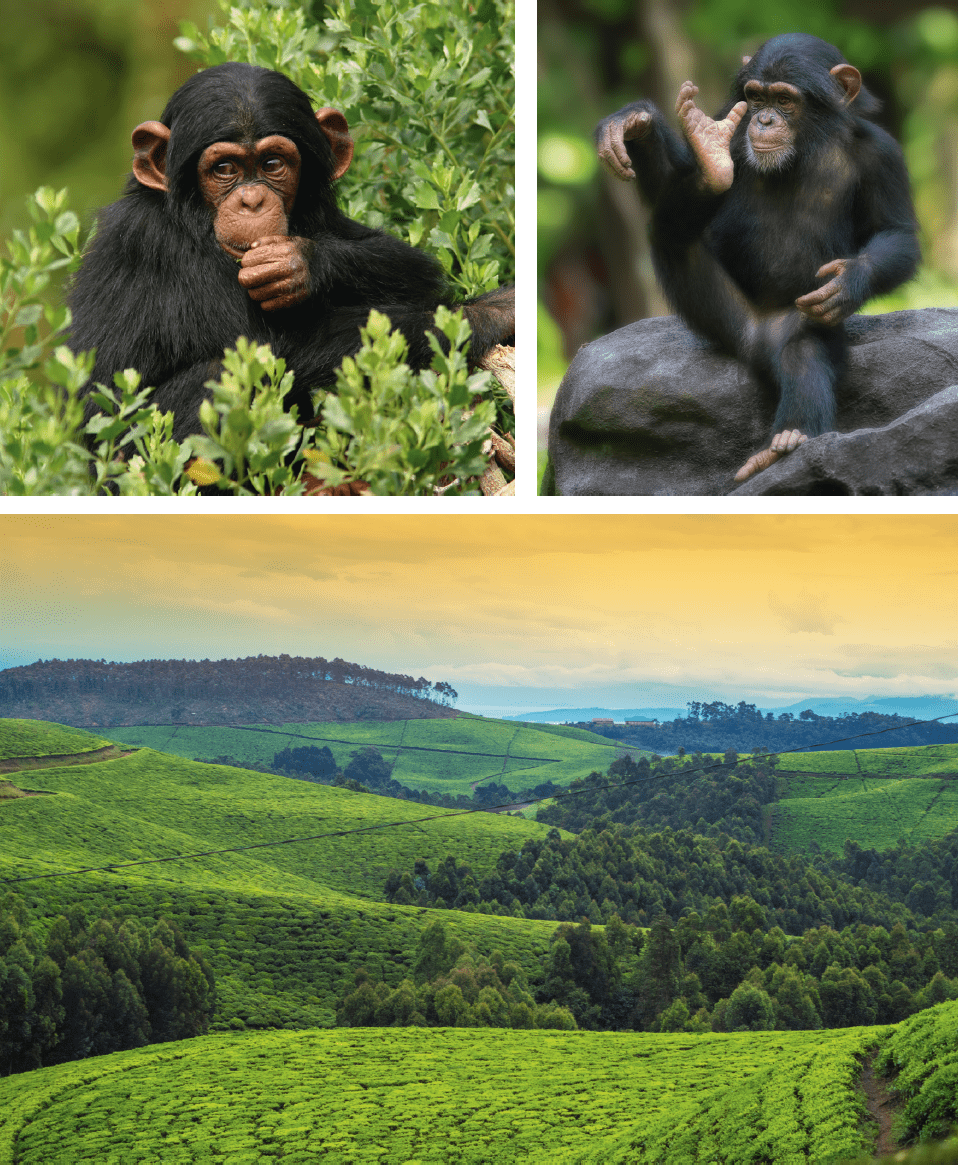 Rwanda2022_6
