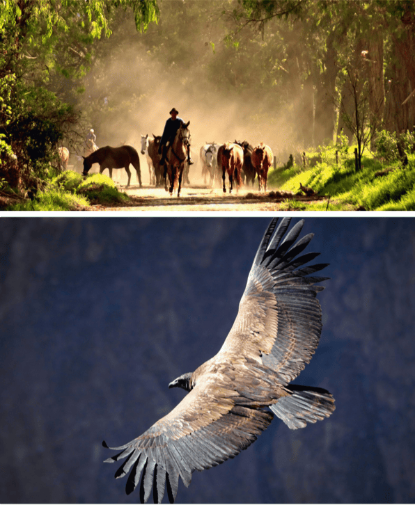 BKO_SD_Equateur_10