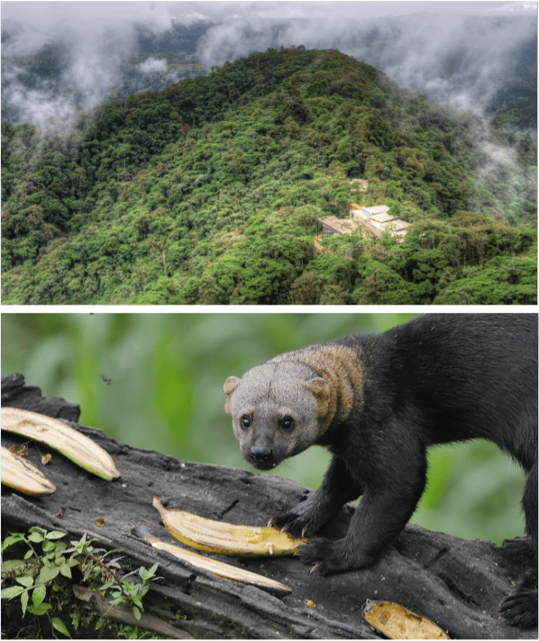 BKO_SD_Equateur_5
