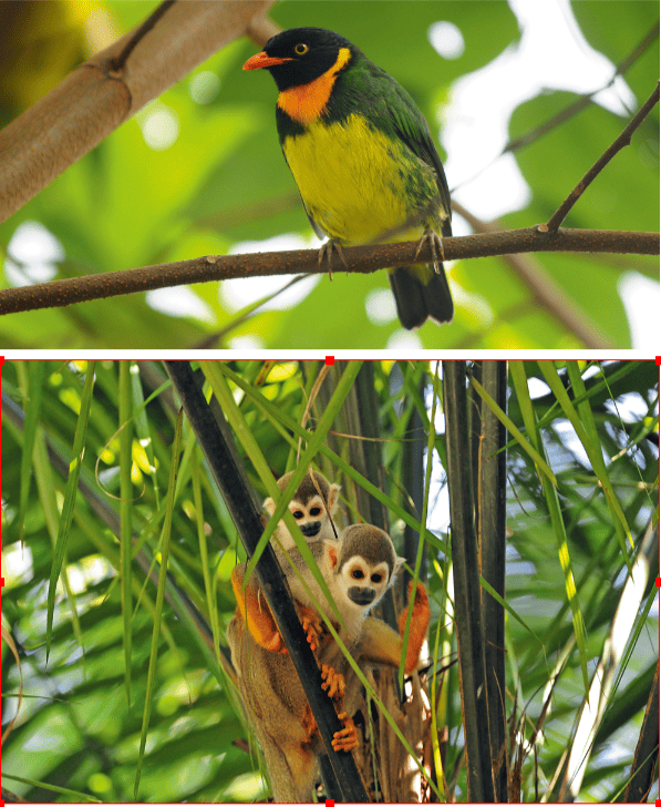 BKO_SD_Equateur_7
