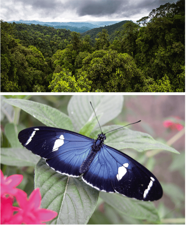 BKO_SD_Equateur_8