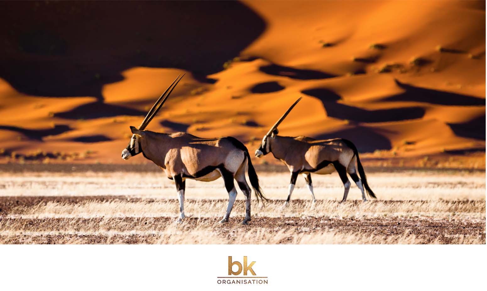 BKO_SD_NAMIBIE_1