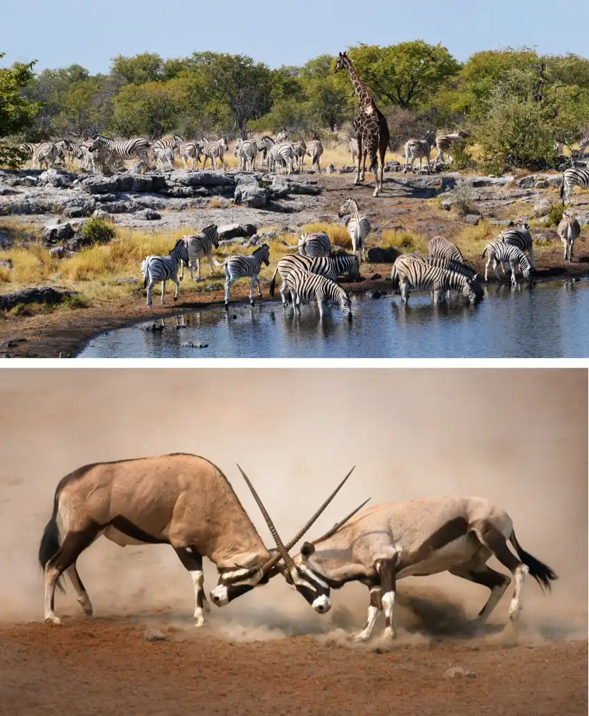 BKO_SD_NAMIBIE_19