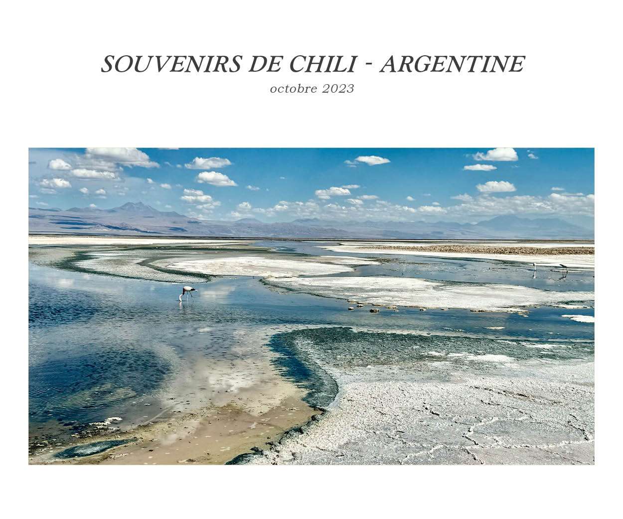 Voyage accompagné dans les salines en Argentine 
