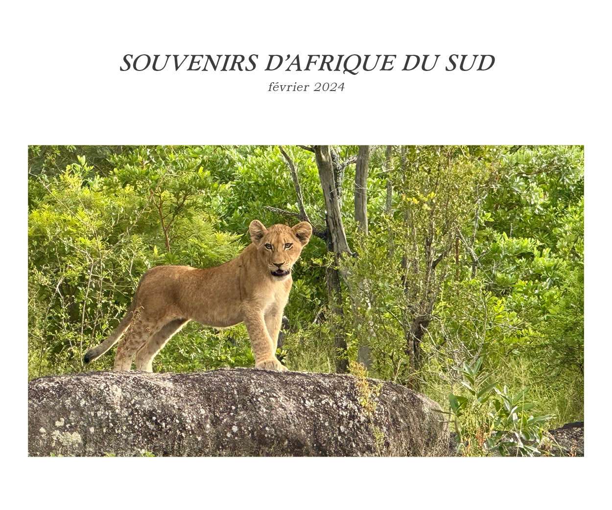 Rétrospective du voyage de Malte en octobre 2022 avec BK Organisation agence de voyage de luxe
