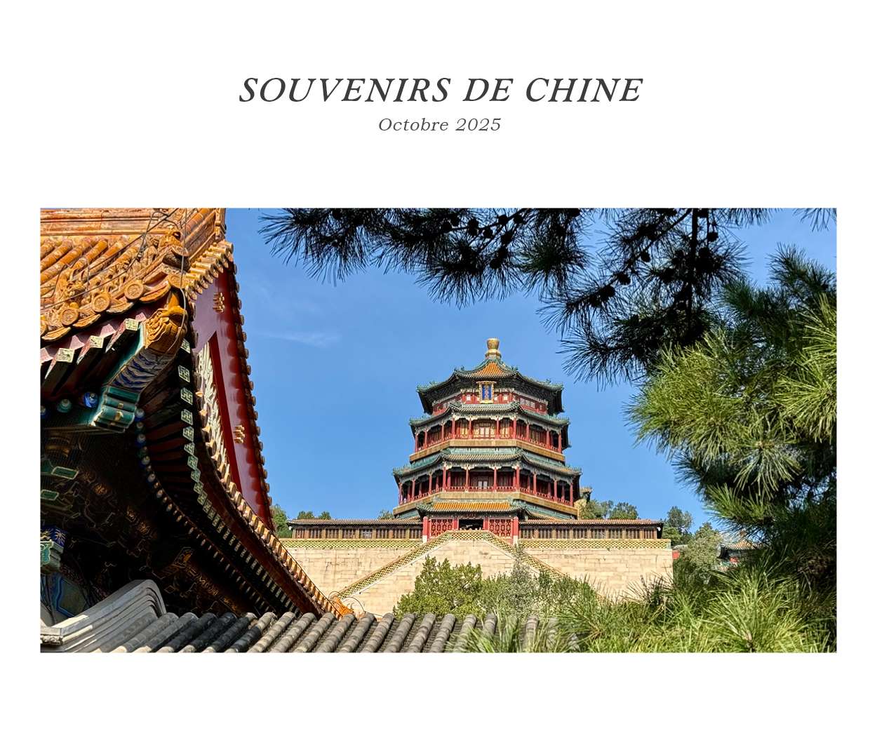 TitreFilmRetroSiteweb Rétrospective du voyage de Malte en octobre 2022 avec BK Organisation agence de voyage de luxe