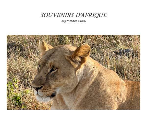 Rétrospective du voyage de Malte en octobre 2022 avec BK Organisation agence de voyage de luxe
